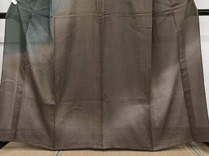 平和屋着物＊夏物　訪問着　縦絽　トロンワーグ　芝文　暈し染め　金彩　正絹　逸品　CABJ9852xi