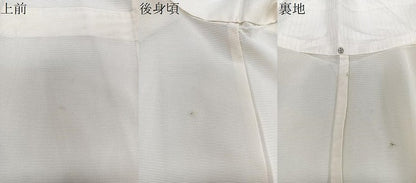 平和屋着物＊夏物　訪問着　絽　手描き　枝草花文　正絹　逸品　CABJ9853xi