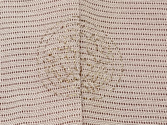 平和屋着物＊夏物　訪問着　絽　駒刺繍　流水草文　暈し染め　正絹　逸品　CABJ9878xi
