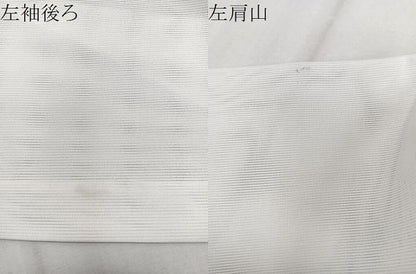 平和屋着物＊夏物　訪問着　絽　枝花文　洗える着物　CABJ9965xi
