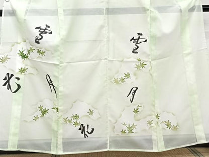 平和屋着物＊夏物　訪問着　絽　手描き　雪月花　銀彩　洗える着物　CABJ9992xi