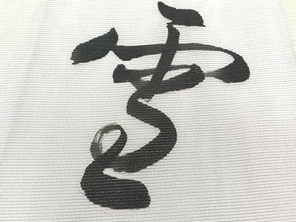 平和屋着物＊夏物　訪問着　絽　手描き　雪月花　銀彩　洗える着物　CABJ9992xi