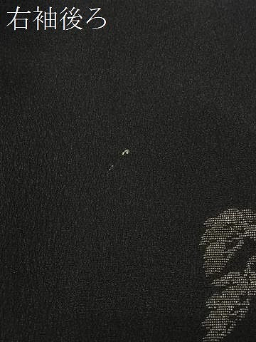 平和屋着物＃羽織　寿光織　遠山風景文　黒地　銀糸　正絹　逸品　CABK0031ua