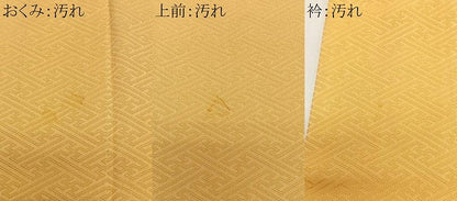 平和屋着物■上質な色無地　紗綾形地紋　玉蜀黍色　正絹　逸品　CABK0063ua