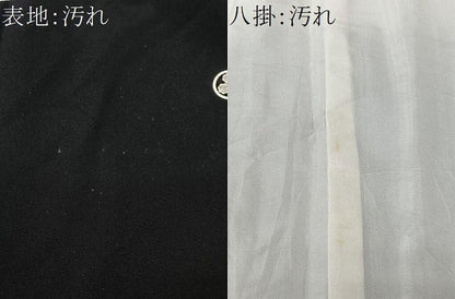 平和屋着物■世界的ファッションデザイナー　山本寛斎　kansaiブランド　駒刺繍　地紙花鳥文　暈し染め　金彩　正絹　逸品　CABK0109ua