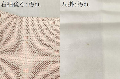 平和屋着物■上質な紬　麻の葉文様　正絹　逸品　CABK0115ua