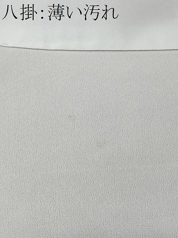 平和屋着物■江戸小紋　鮫小紋柄　正絹　逸品　CABK0159ua