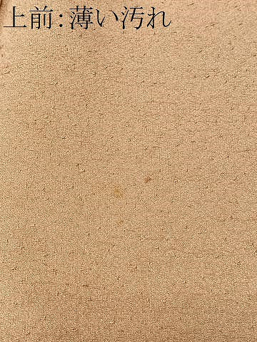 平和屋着物■上質な色無地　洒落柿色　正絹　逸品　CABK0160ua