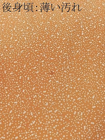 平和屋着物■上質な小紋　霞文　暈し染め　正絹　逸品　CABK0185ua