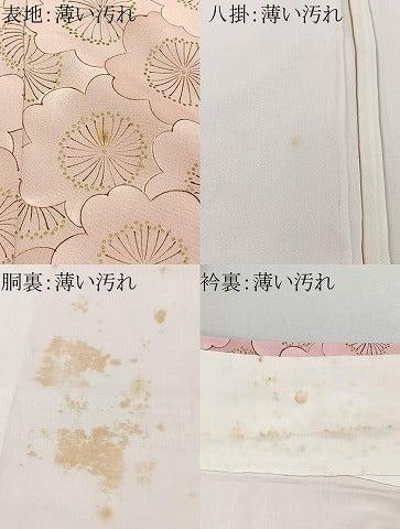 平和屋着物■上質な小紋　花尽くし　金彩　正絹　逸品　CABK0192ua