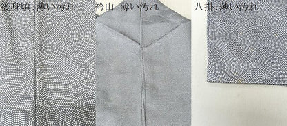 平和屋着物■上質な小紋　青海波　正絹　逸品　CABK0228ua