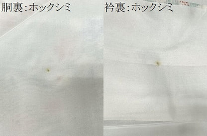 平和屋着物■上質な紬　舞花文　正絹　逸品　未使用　CABK0234ua