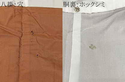 平和屋着物■上質な紬　間道　正絹　逸品　CABK0250ua