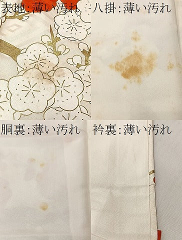 平和屋着物■豪華振袖　駒刺繍　枝梅文　金彩　正絹　逸品　CABK0261ua