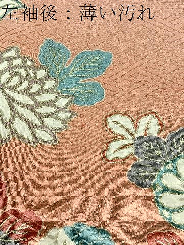 平和屋着物■訪問着　枝花文　暈し染め　金彩　正絹　逸品　CABK0294ua