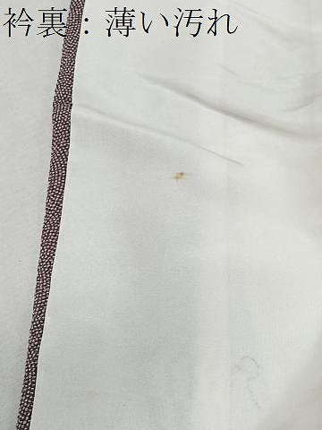 平和屋着物■江戸小紋　鮫小紋柄　鬼しぼ縮緬　正絹　逸品　CABK0299ua