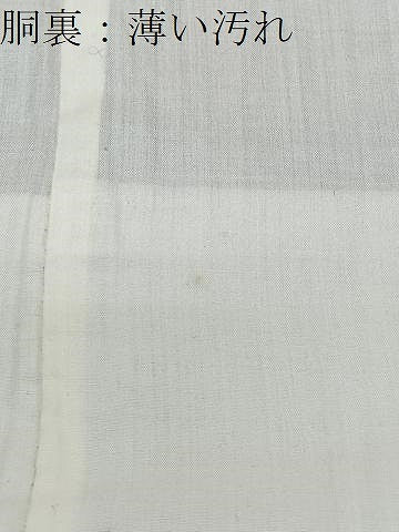 平和屋着物■上質な紬　壁画文様　正絹　逸品　CABK0325ua
