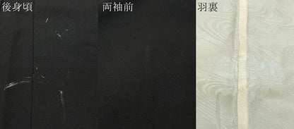 平和屋着物＃羽織 寿光織 流水草花文 黒地 銀糸 正絹 逸品 CABK0342ua