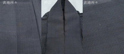 平和屋着物＊夏物　男性　紗紬　格子文　正絹　逸品　CABK0402th