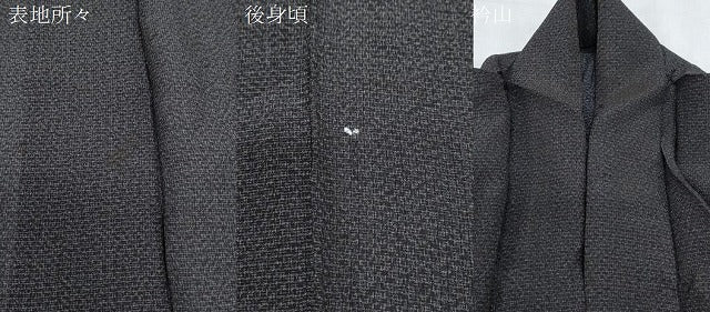 平和屋着物＊夏物　男性　紗紬　霞文　正絹　逸品　CABK0405th