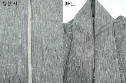 平和屋着物＊夏物　男性　紗紬　霞文　正絹　逸品　CABK0430th