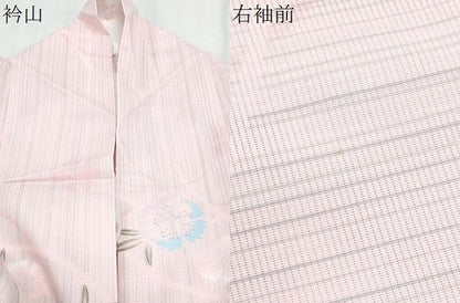 平和屋着物＊夏物　小紋　絽　草花文　洗える着物　CABK0491th