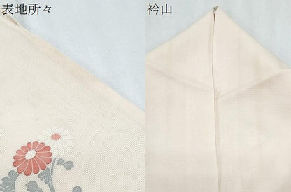 平和屋着物＊夏物　訪問着　絽　友禅　草花文　正絹　逸品　CABK0518th