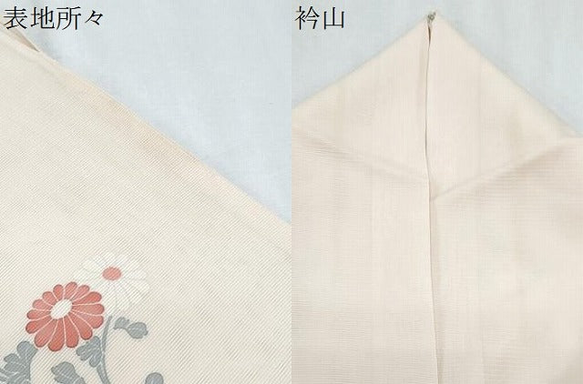 平和屋着物＊夏物　訪問着　絽　友禅　草花文　正絹　逸品　CABK0518th