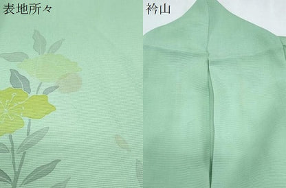 平和屋着物＊夏物　訪問着　絽　草花文　暈し染め　正絹　逸品　CABK0534th