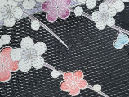 平和屋着物＊夏物　黒留袖　絽　花車文　洗える着物　CABK0539th