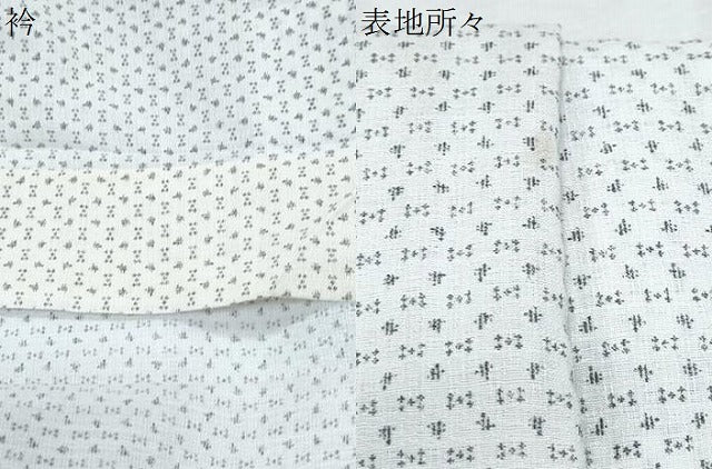 平和屋着物＊夏物　男性　小紋・浴衣兼用　吉祥文　CABK0572th