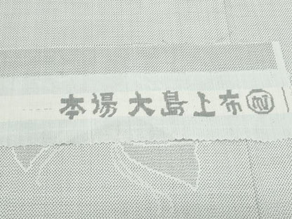 平和屋着物＊夏物　本場大島紬上布　150亀甲　舞蝶文　加納別誂　反端付き　正絹　逸品　未使用　CABK0594th
