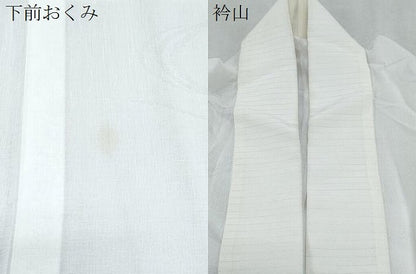 平和屋着物＊夏物　長襦袢　流水花紋紗　胡粉色　洗える着物　CABK0614th