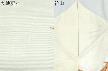 平和屋着物＊夏物　小紋　絽　鳳凰　暈し染め　洗える着物　CABK0624th