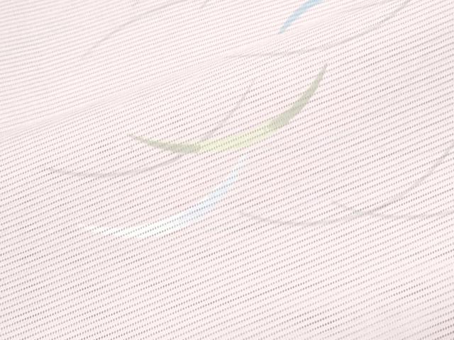平和屋着物＊夏物　小紋　絽　露芝文　洗える着物　CABK0638th