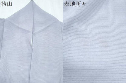 平和屋着物＊夏物　色無地　絽縮緬　牡丹鼠色　洗える着物　CABK0645th