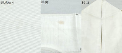 平和屋着物＊夏物　訪問着　絽　楓文　洗える着物　CABK0695th