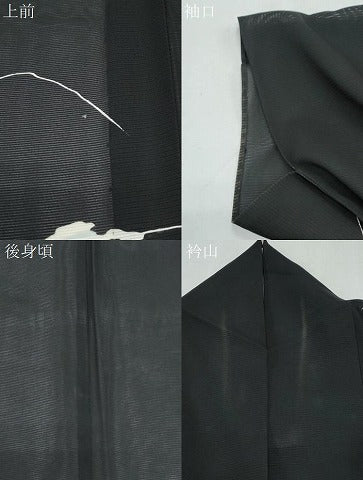 平和屋着物＊夏物　訪問着　絽　舟　黒地　正絹　逸品　CABK0715th