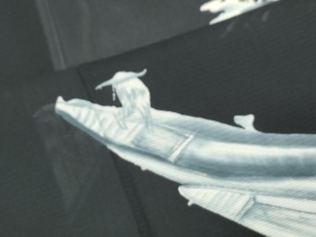 平和屋着物＊夏物　訪問着　絽　舟　黒地　正絹　逸品　CABK0715th