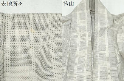 平和屋着物＊夏物　大島紬　夏大島　白大島　150亀甲　吉祥間道　正絹　逸品　CABK0719th