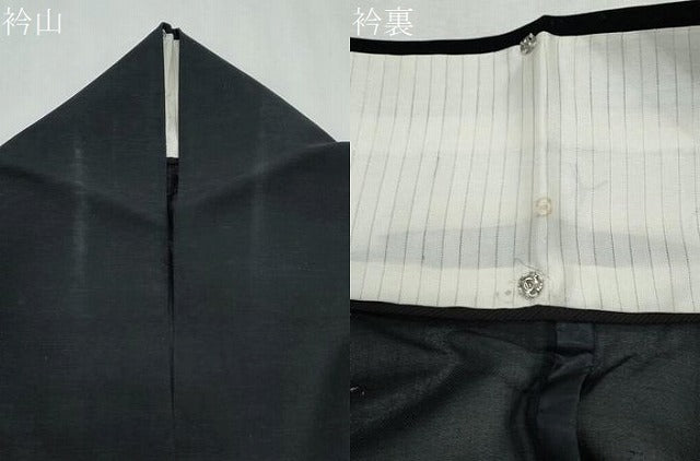 平和屋着物＊夏物　紗紬　笹竹間道　黒地　正絹　逸品　CABK0722th
