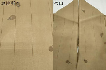 平和屋着物＊夏物　紗紬　成り物　正絹　逸品　CABK0733th
