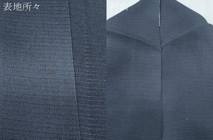 平和屋着物＊夏物　小紋　絽縮緬　霞文　暈し染め　正絹　逸品　CABK0741th