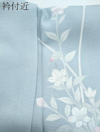 平和屋着物＊夏物　訪問着　絽　友禅　草花文　正絹　逸品　CABK0746th