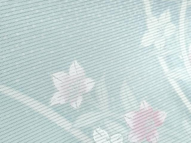 平和屋着物＊夏物　訪問着　絽　友禅　草花文　正絹　逸品　CABK0746th