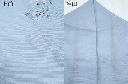平和屋着物＊夏物　訪問着　絽　孔雀花文　洗える着物　CABK0767th