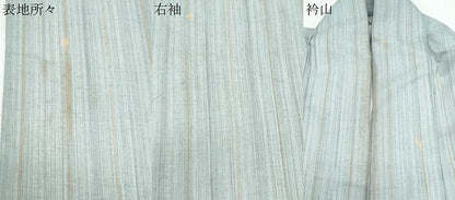 平和屋着物＊夏物　小紋　紗　琉球絣文様　洗える着物　CABK0783th