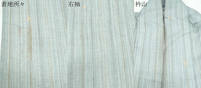 平和屋着物＊夏物　小紋　紗　琉球絣文様　洗える着物　CABK0783th