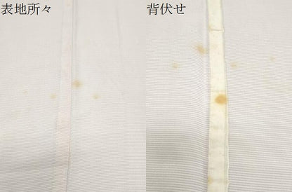 平和屋着物＊夏物　訪問着　絽　霞文　暈し染め　正絹　逸品　CABK0790th