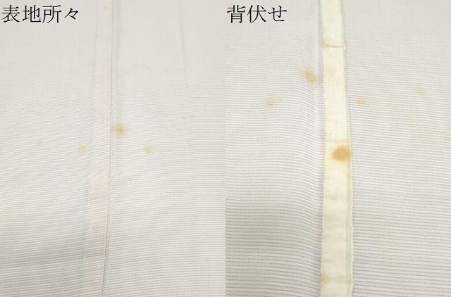 平和屋着物＊夏物　訪問着　絽　霞文　暈し染め　正絹　逸品　CABK0790th